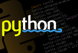 Python编程语言介绍 - 最受欢迎的编程语言之一
